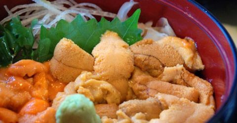 ウニ丼　（北海道積丹岬）