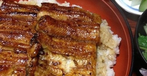 うな新のうなぎランチ