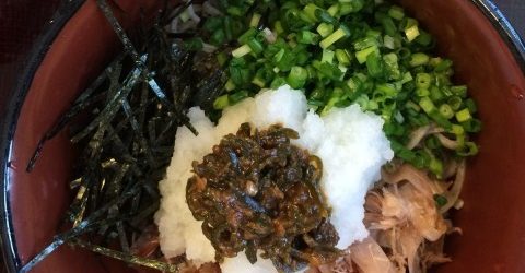 清水森ナンバおろしそば～彦庵～